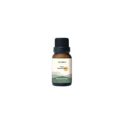 Organic Eucalyptus Essential Oil